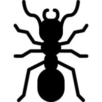 Dedetização de Formigas em Londrina e Região 3