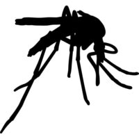 Dedetização de Mosquitos e Pernilongos em Londrina e Região 2
