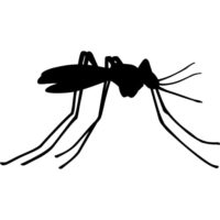 Dedetização de Mosquitos e Pernilongos em Londrina e Região