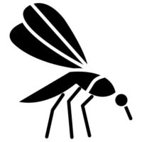 Dedetização de Mosquitos e Pernilongos em Londrina e Região 3